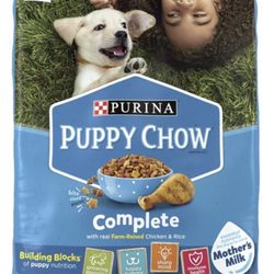 Teacup Apple head Chihuahua Welp Box And Food. 