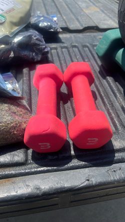 3lb Dumbbells