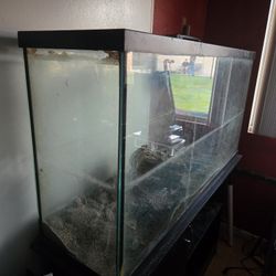 pesera usada para peses GRATIS, FREE