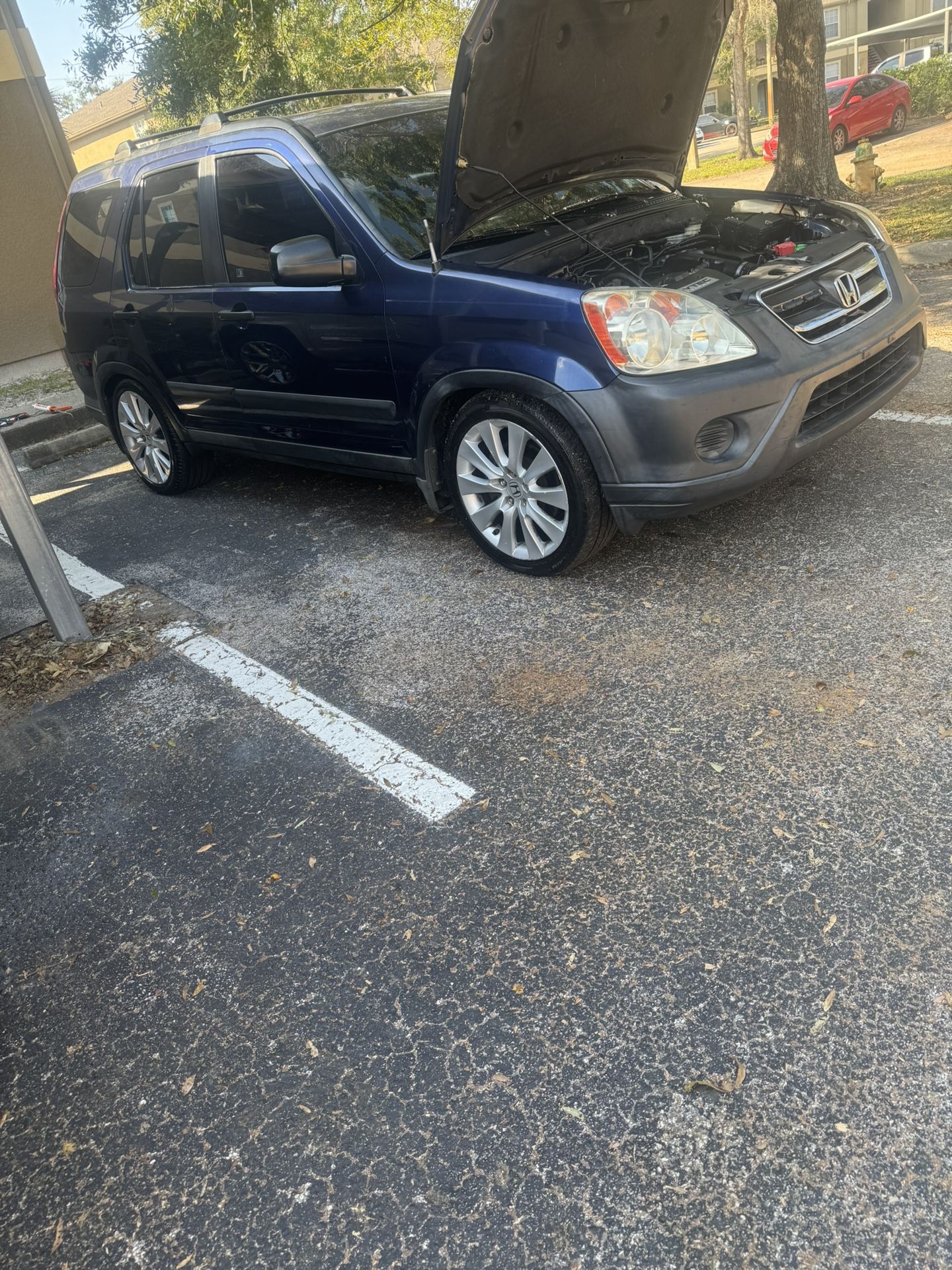 Honda Accord Rims