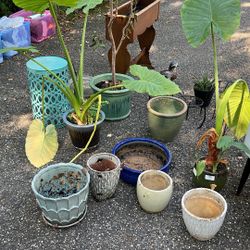 Assorted Plant Pots