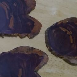 Handmade Cedar Wood Coasters