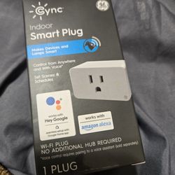 BRAND NEW NEVER OPENED INDOOR SMART PLUG