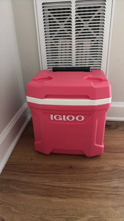 Pink Igloo