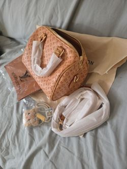 Louse Vuitton  Speedy nano bag