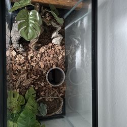 Super nice 10 gal aquarium with lots of fixtures