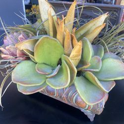 Artficial Plant