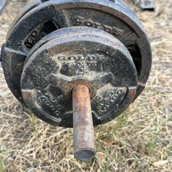 EZ BAR WITH WEIGHTS 