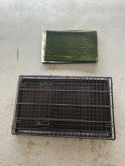 Crate and pooch pad