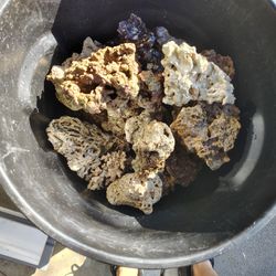 Live Rock Saltwater Aquarium