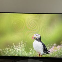 Dell S2421HS 24” Monitor