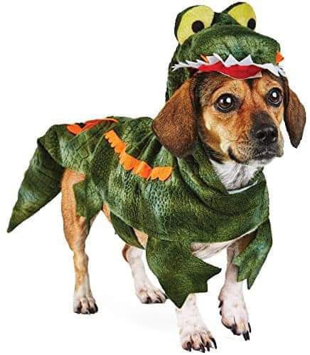 Halloween alligator costume dress up for pet dog PRICE IS FIRM