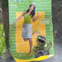 Sesame Street Oscar costume
