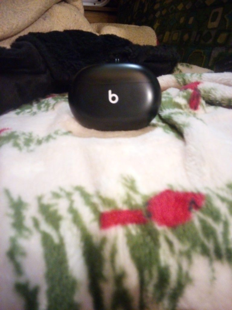 Beats Earbuds (Wireless In Black)