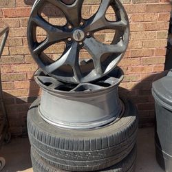 RT Stock Rims 