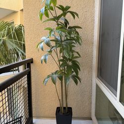 Artificial Umbrella Schefflera Plant
