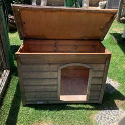 Dog House 