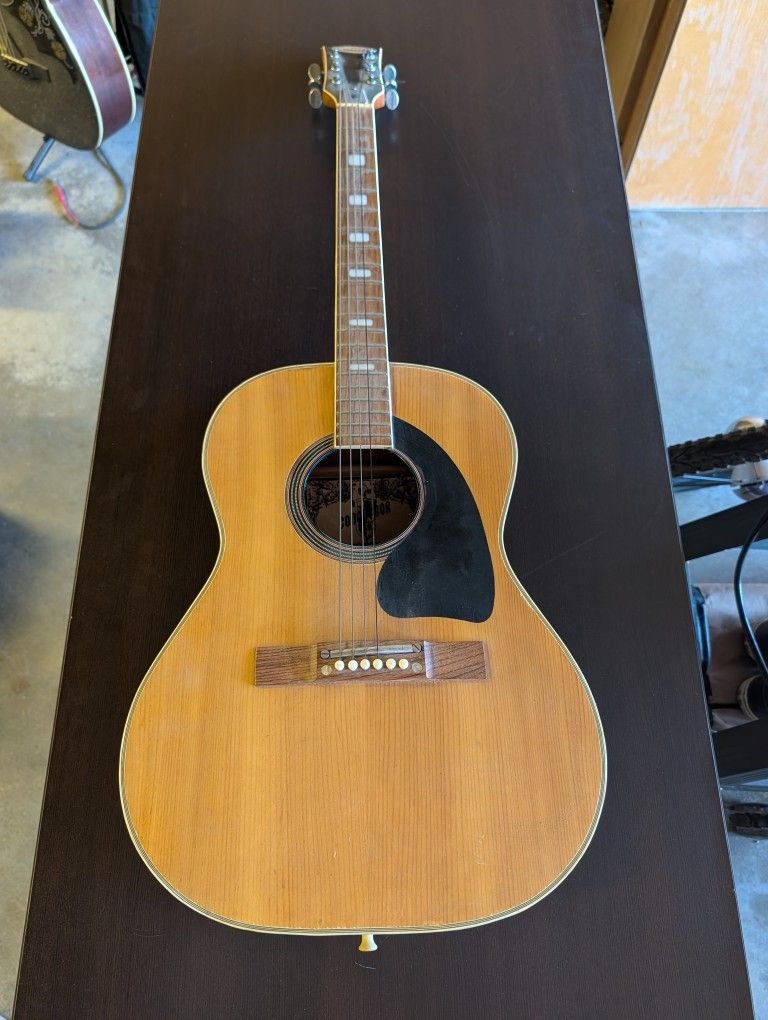 Project Acoustic Guitar