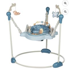Baby Activity/Jumper