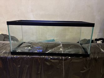 Glass Aquarium Tank with Black Frame