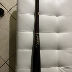 Zinger Bat 34