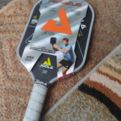 Pickle Ball Paddle