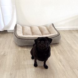 Kirkland Oversized Dog Bed 