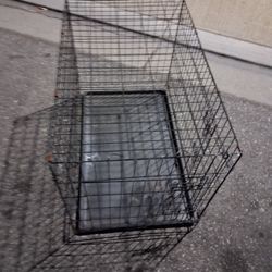 Cage 