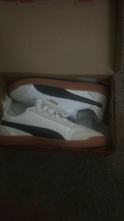 PUMAS