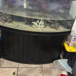 70 Gallon Bow Front Fish Tank 