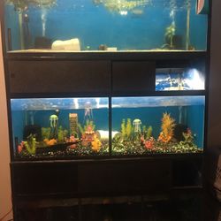 Fish tank rack 