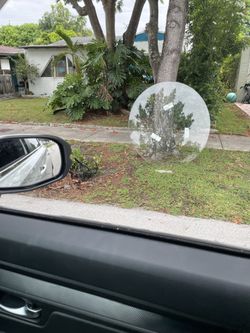 Glass table top - 53 inch diameter