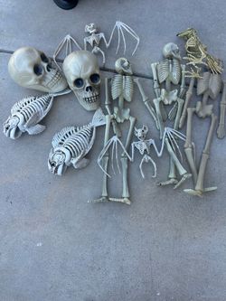 Halloween skeleton  decor