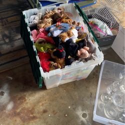 Beanie Babies Huge Crate 