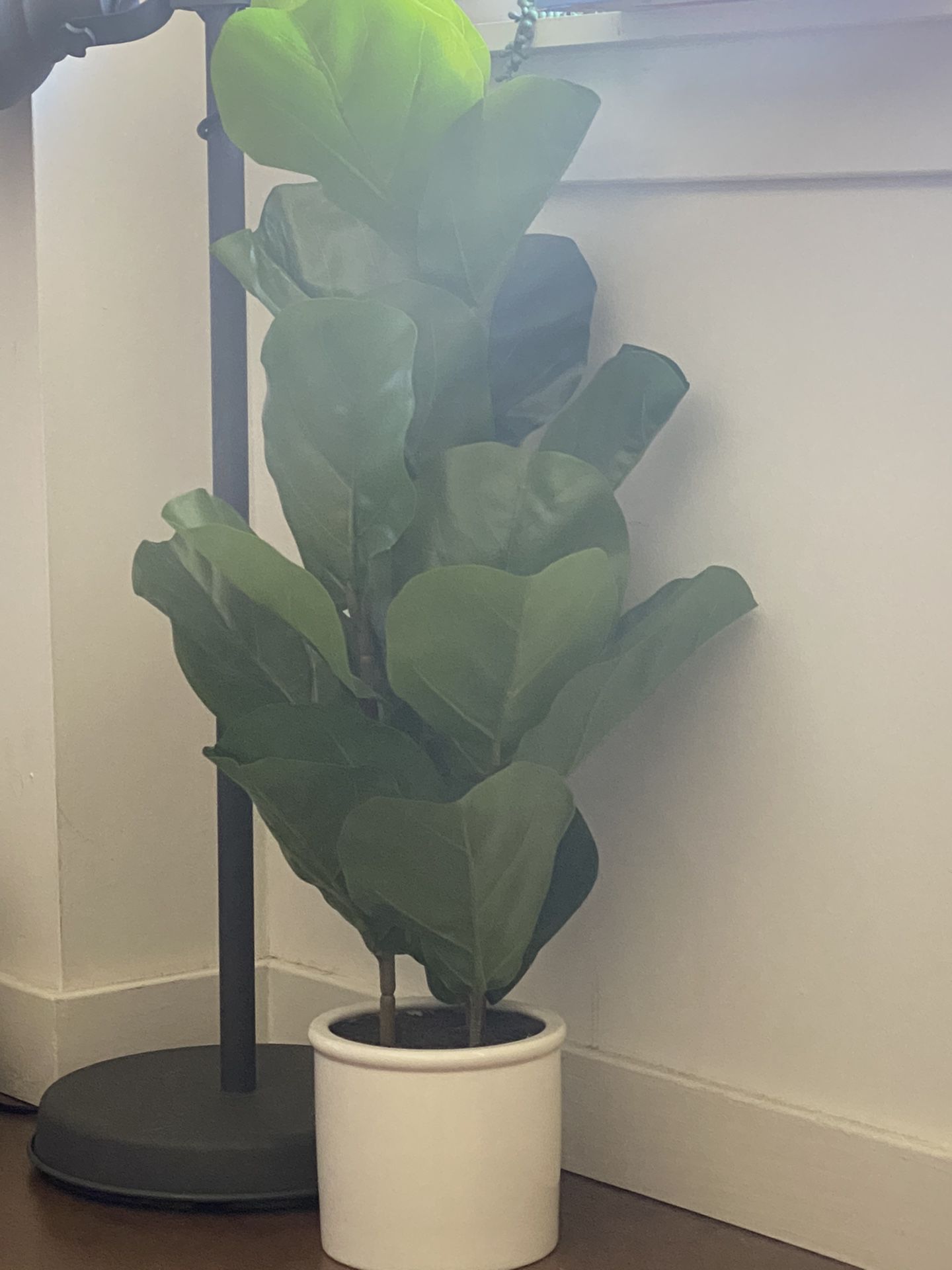 Fake Decor Plant