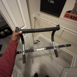 Door Attached Pullup Bar