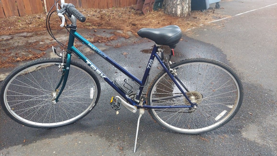 Adult Bik