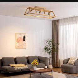 Golden Light Fixture