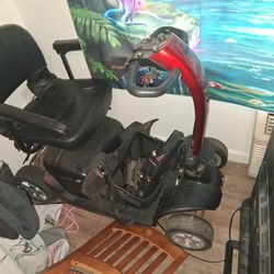 Electric Scooter 