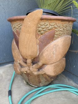 Pot for sale