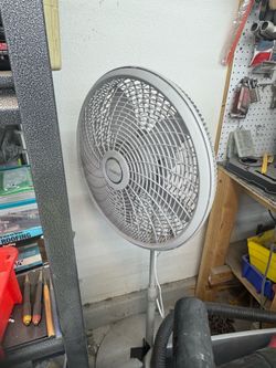 Stand Up Oscillating Fan