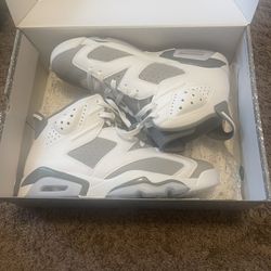 Air Jordan Retro 6s (Size 11)