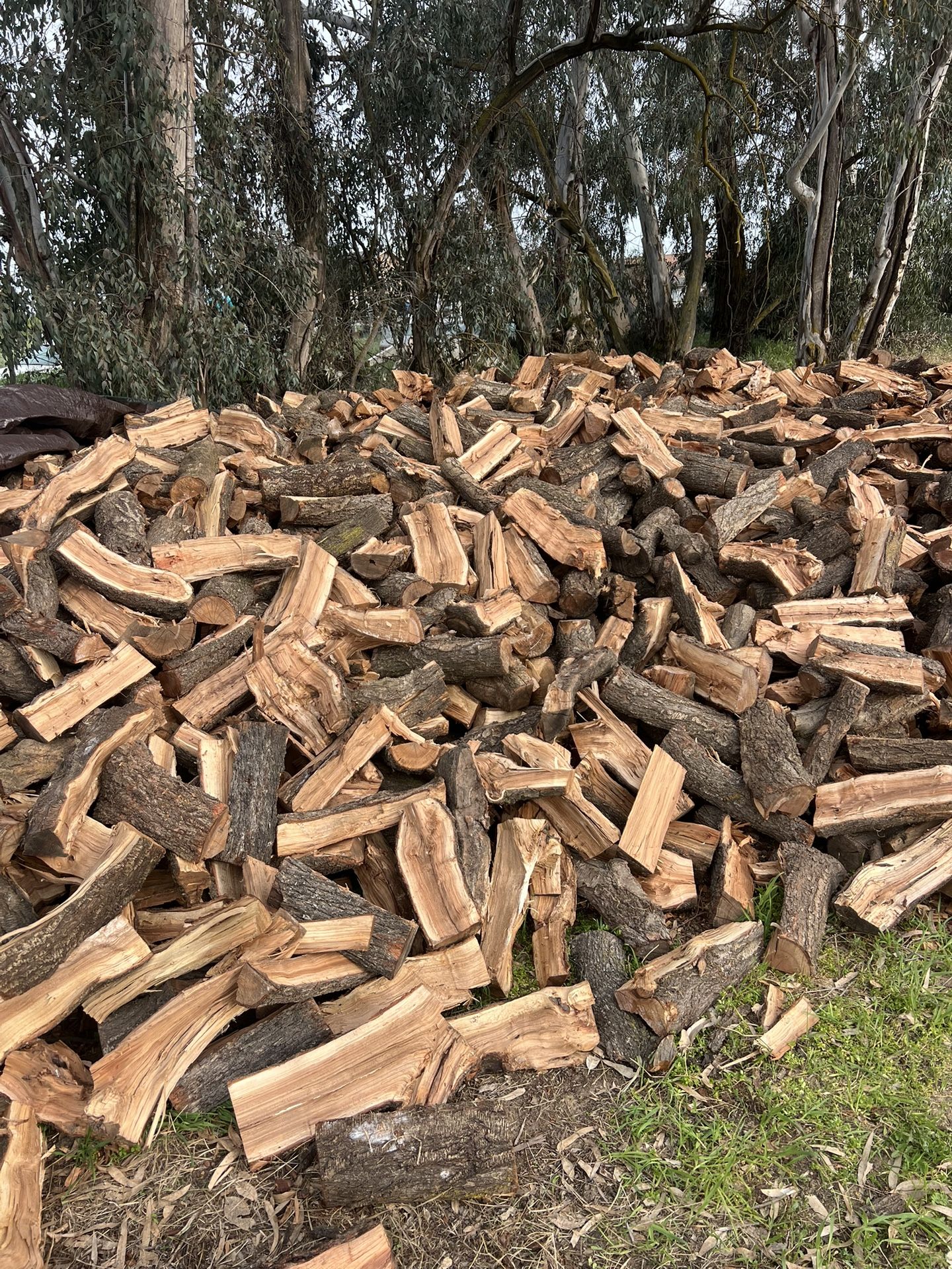 Almond Firewood 