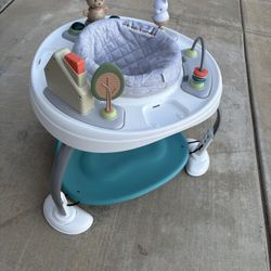 2-in-1 Activity Jumper