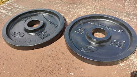 Nautilus weight plate 10 lbs each