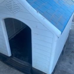Dog House 50 $$