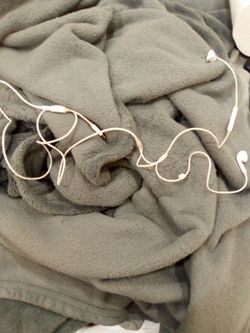 Apple earphones for iphone