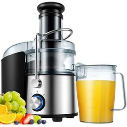 1200W Juicer Machine