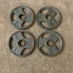 Olympic Weight Plates - Total 40 Pounds 