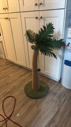 New Palm Tree cat scratcher